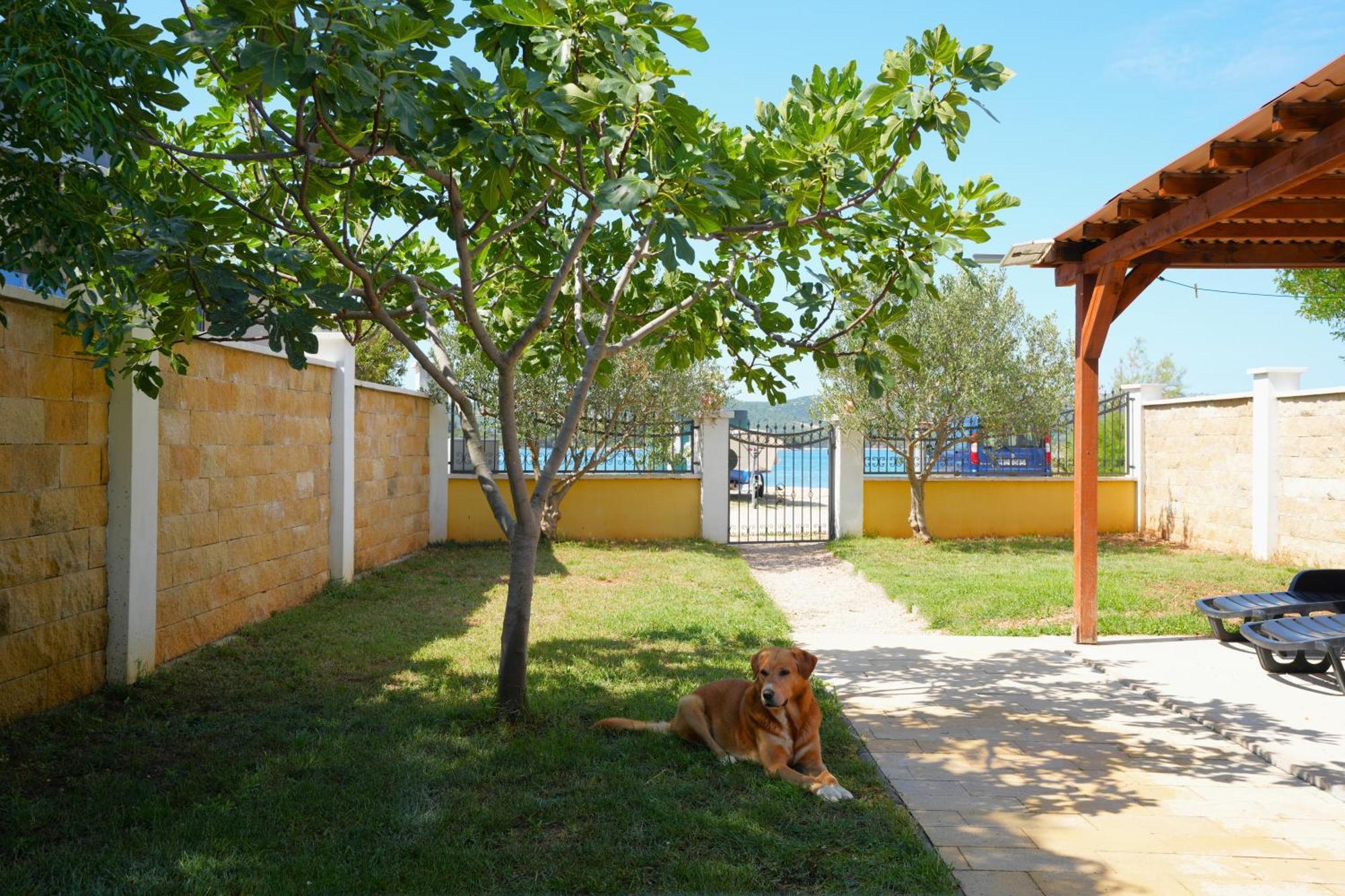 Holiday Home - Beach House 'Amarella' Turanj Extérieur photo